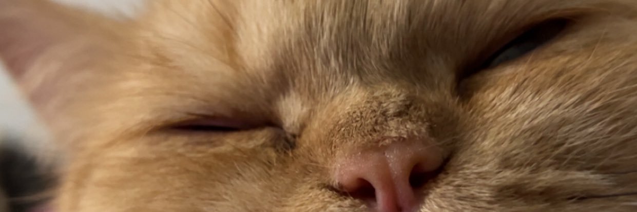 passantsolimaan's profile banner image