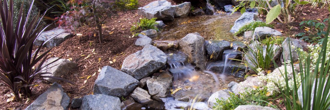 Proponds_West's profile banner image