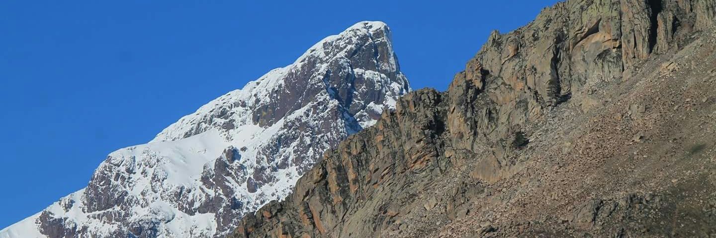 Pasquale Moneglia banner