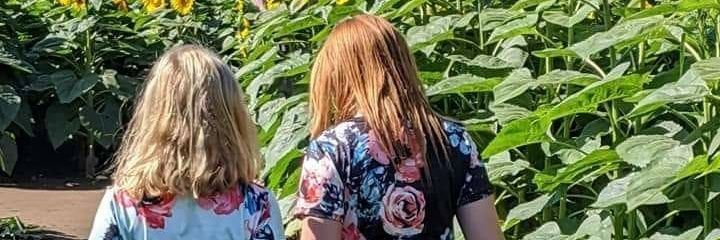 RobNAnderson's profile banner image