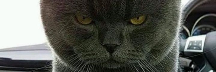 Atiqz17's profile banner image