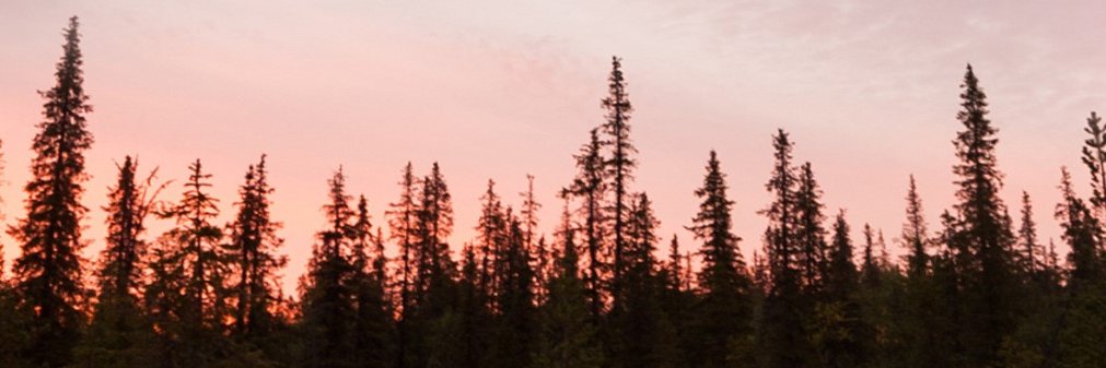 LaFQCF's profile banner image