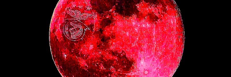 McGrumFus's profile banner image