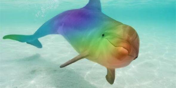 gaysafari's profile banner image