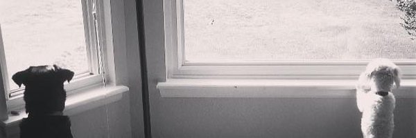 fasteddiegloor Profile Banner