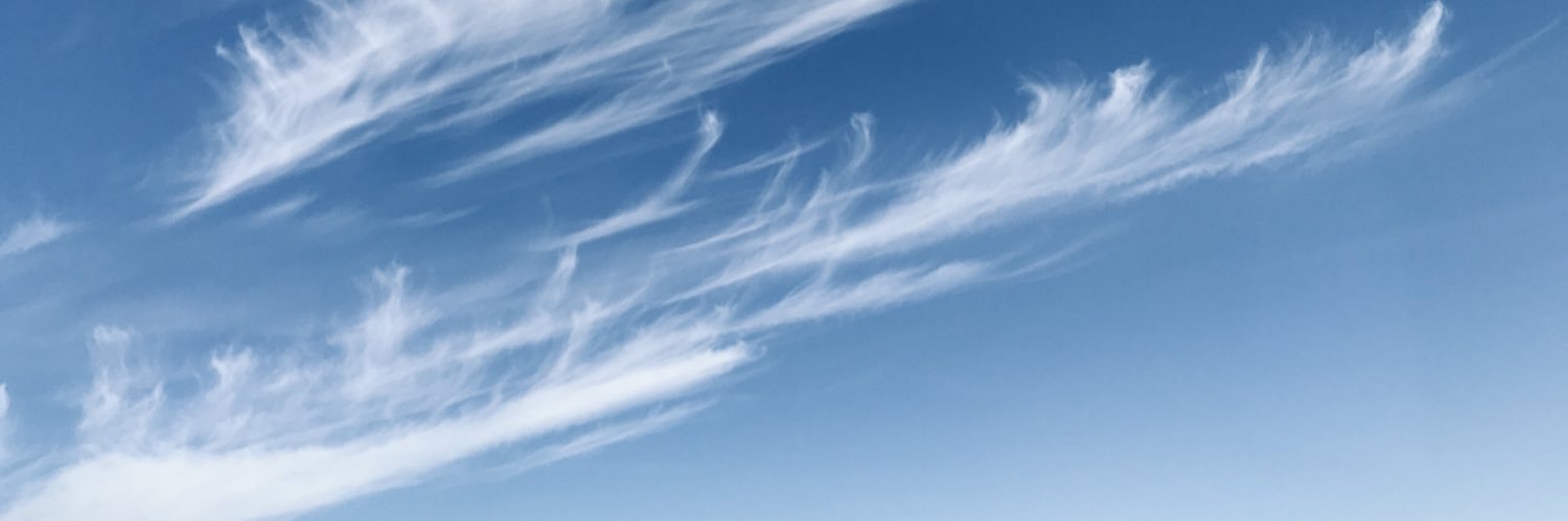 chokhof's profile banner image
