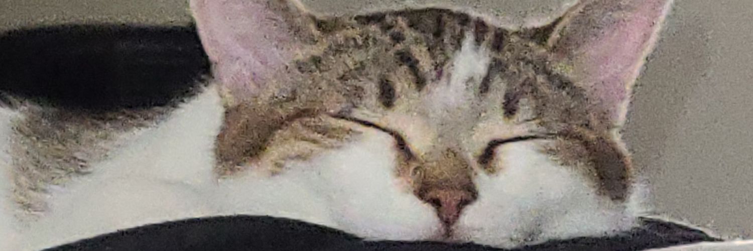 SceneSwagg's profile banner image