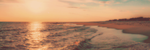 duckdeAshton's profile banner image