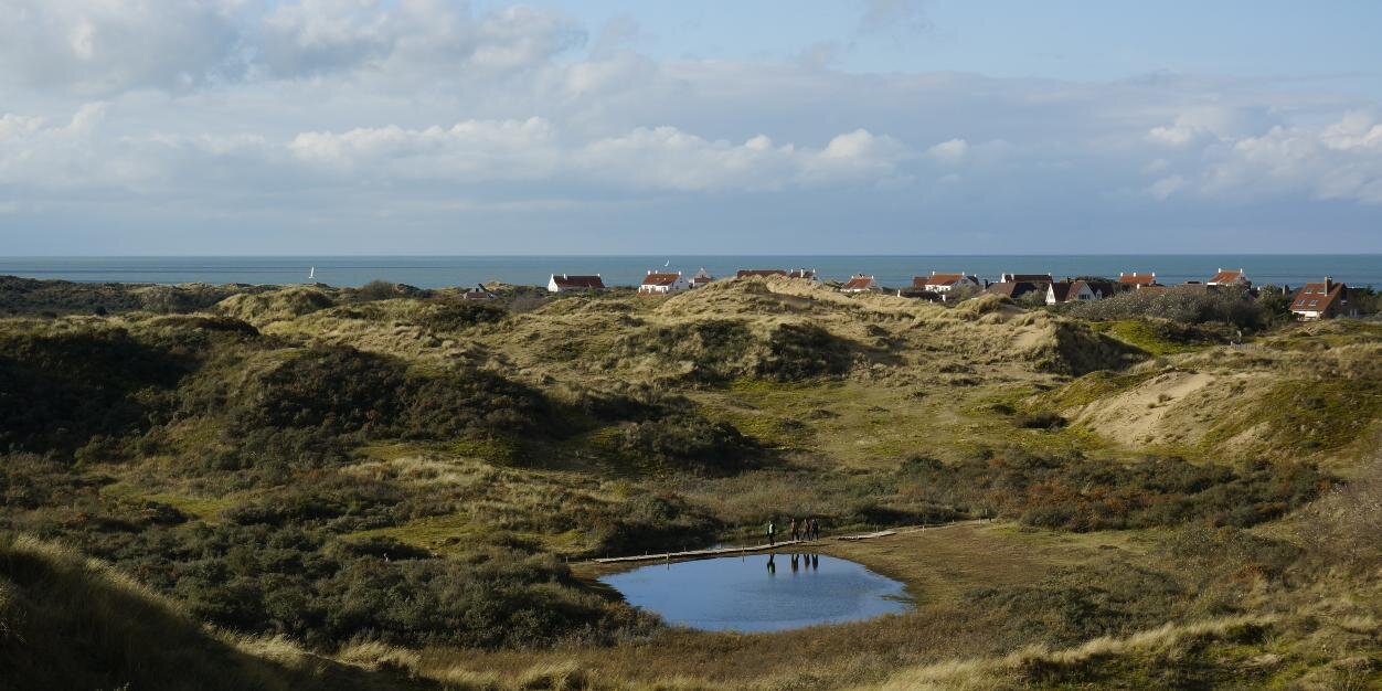 KoenVanMeervelt's profile banner image