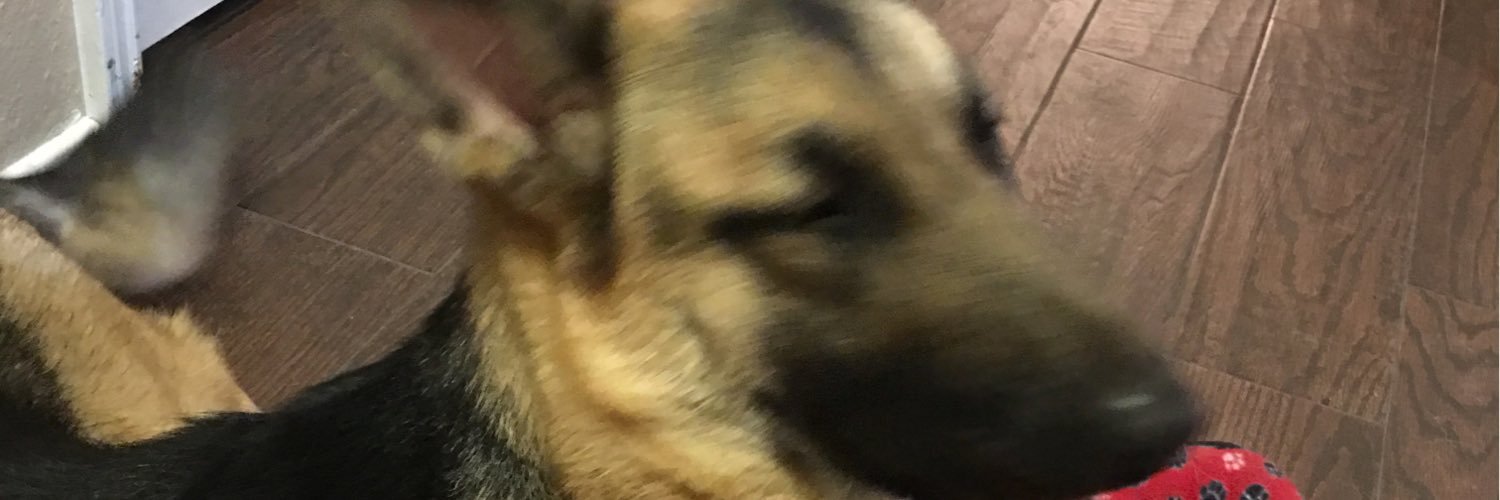 WhoIsBradWard's profile banner image