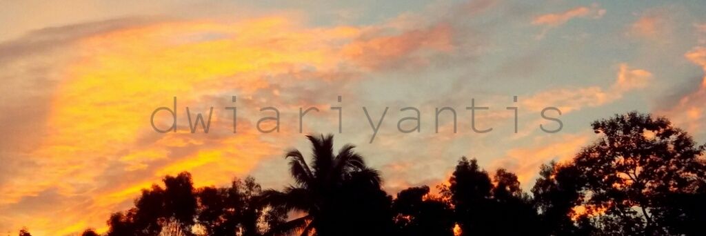 dwiariyantis's profile banner image