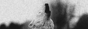 grey__wolve's profile banner image
