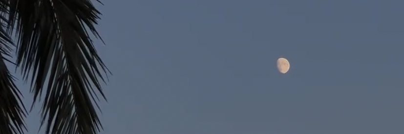 marievter's profile banner image
