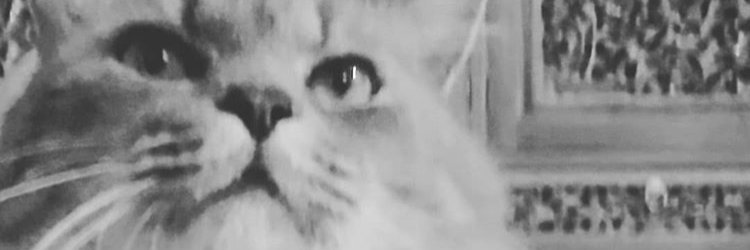 beningben's profile banner image
