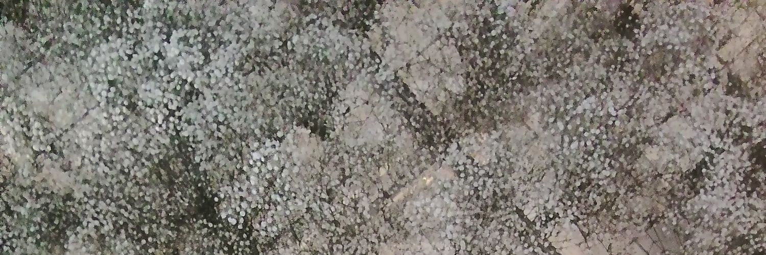 cih0230's profile banner image