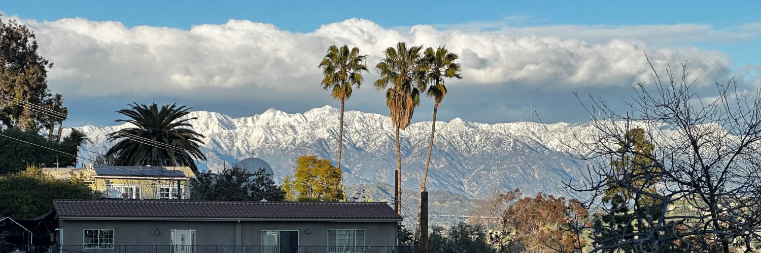 Peter Bibring banner