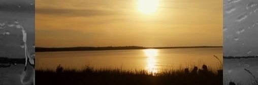 MicheleAustin81's profile banner image