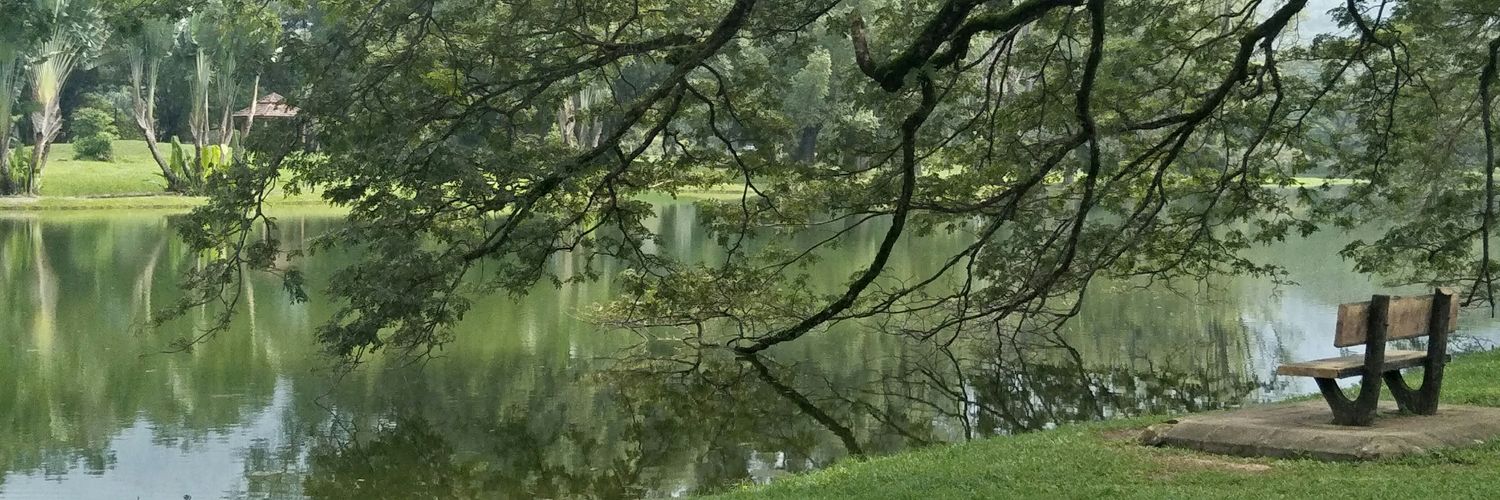 BikMalaya's profile banner image