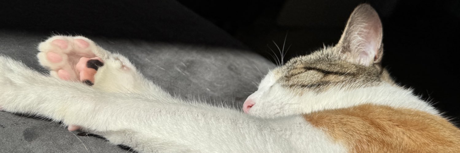 melodramarta's profile banner image
