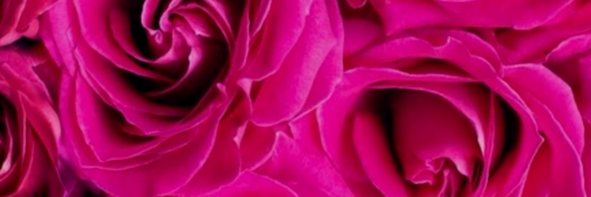 ginnnaaa_'s profile banner image