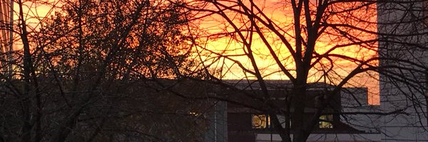 RN_salbee Profile Banner