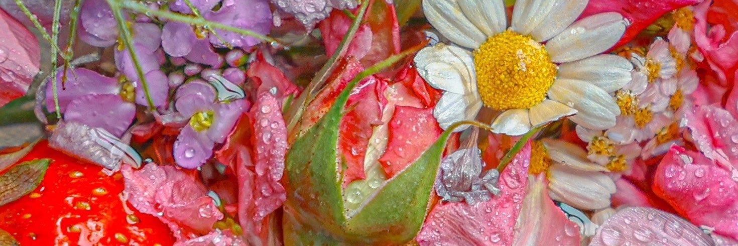 BobbiRempe's profile banner image
