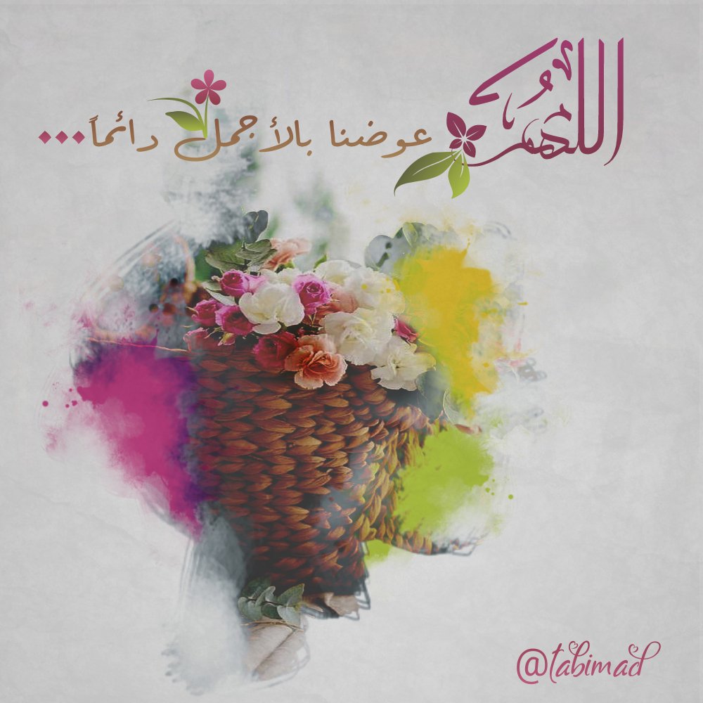 tabimad's profile banner image