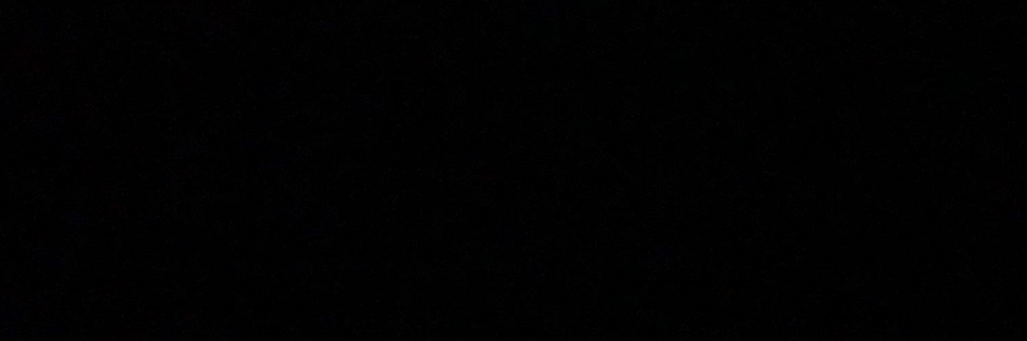 nesplug's profile banner image
