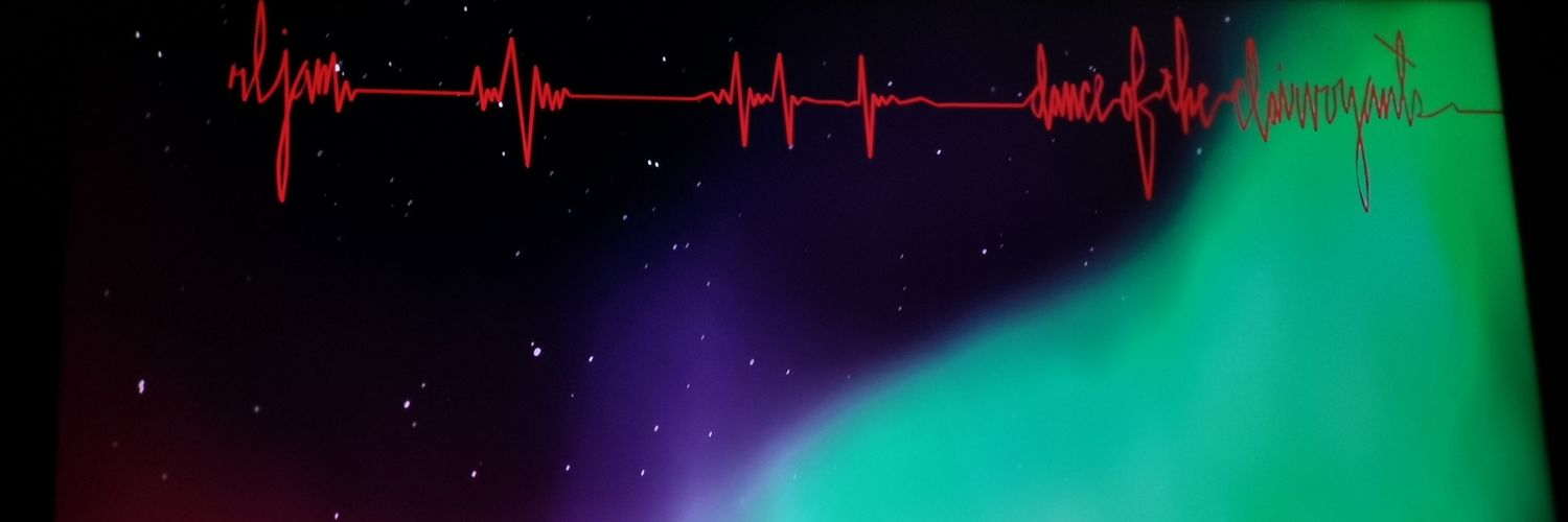 devilvedder's profile banner image