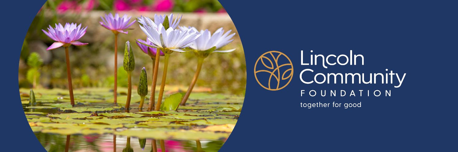 Lincoln Community Foundation banner