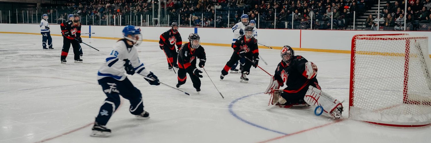 International Ringette Federation banner