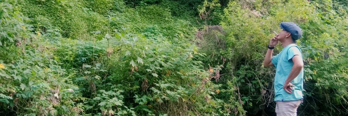 FannyLhanetz's profile banner image