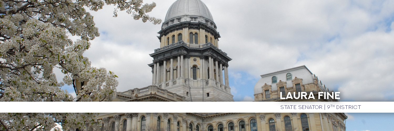 Senator Laura Fine banner