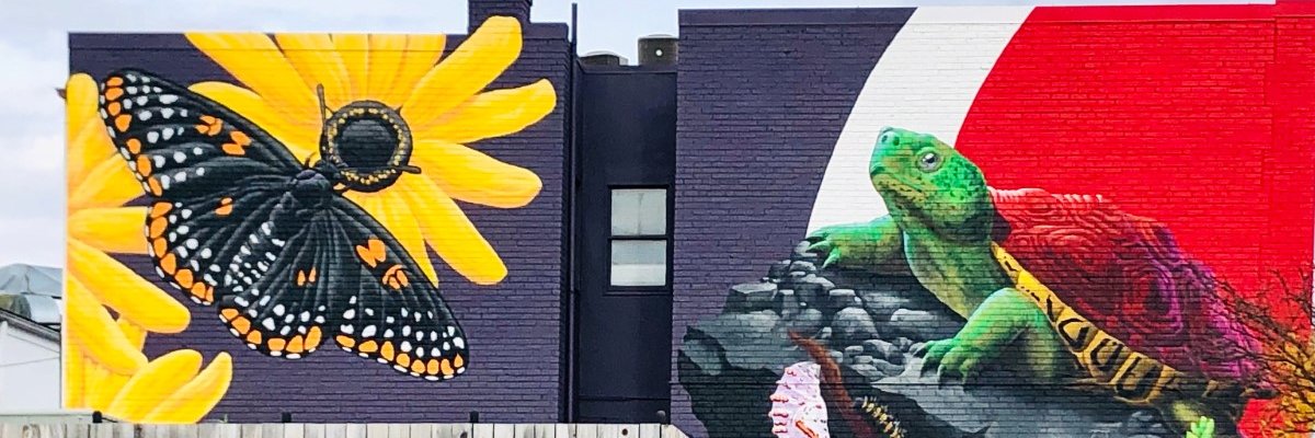 The College Park City-University Partnership banner