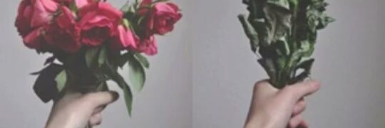 98_anlit's profile banner image