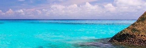 keneliga's profile banner image