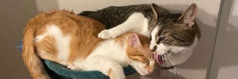 Jacob Ulirsch, PhD banner