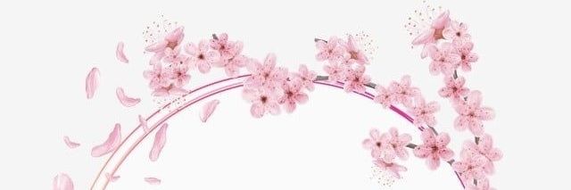 eesmabilen's profile banner image
