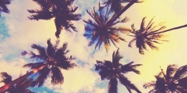 amandadell's profile banner image