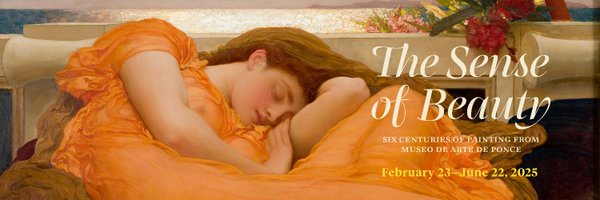 MeadowsMuseum Profile Banner