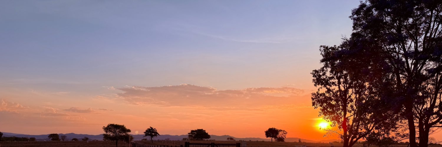 renatingames's profile banner image
