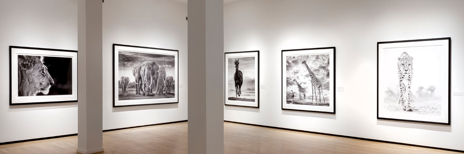 artrogergallery's profile banner image
