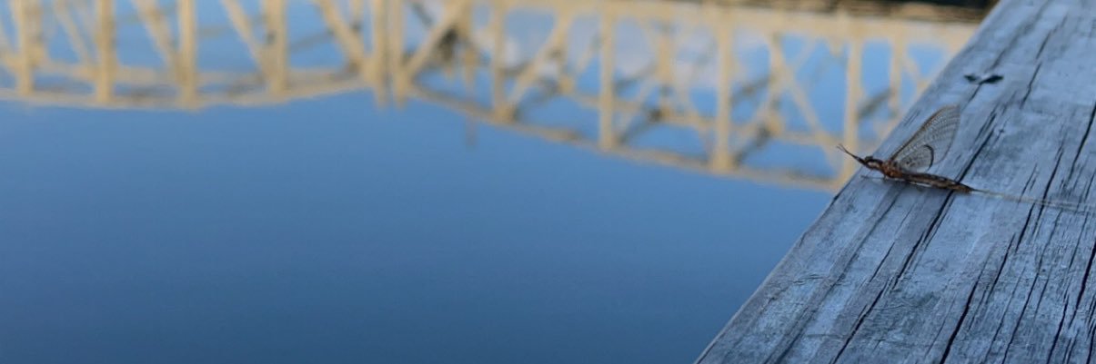 OkWellsy's profile banner image
