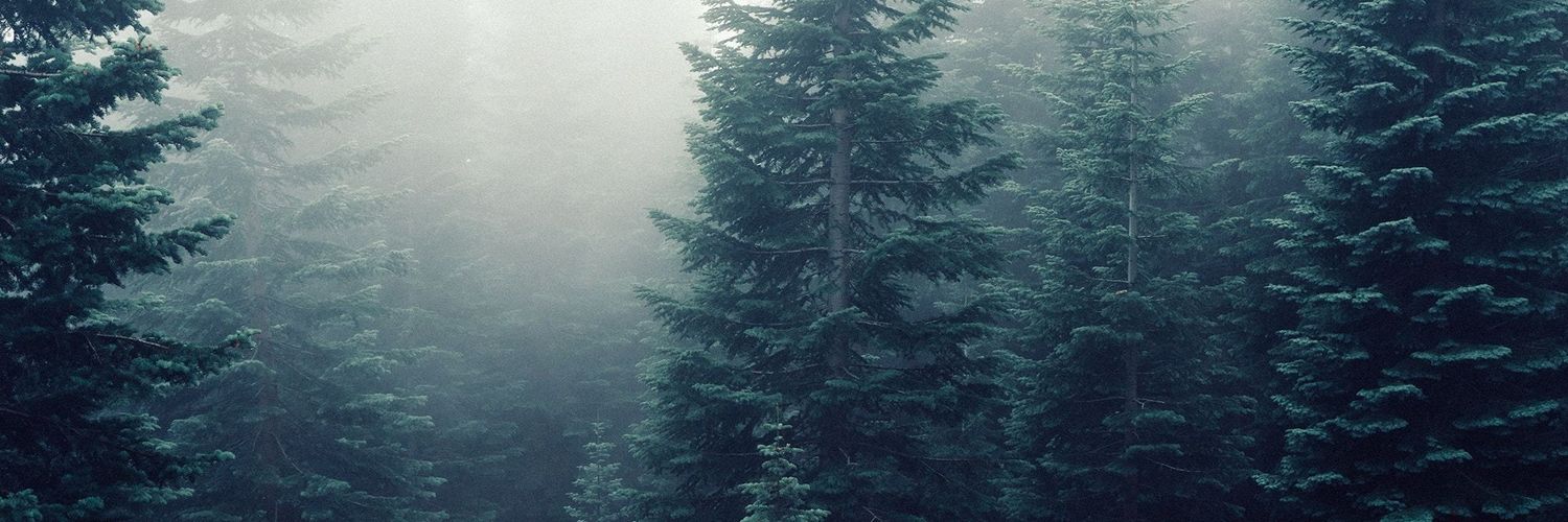 MariaNavarro158's profile banner image