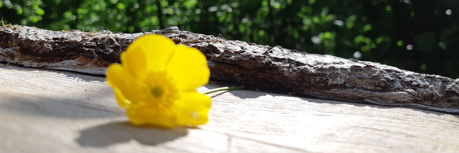 Sconstanzer's profile banner image