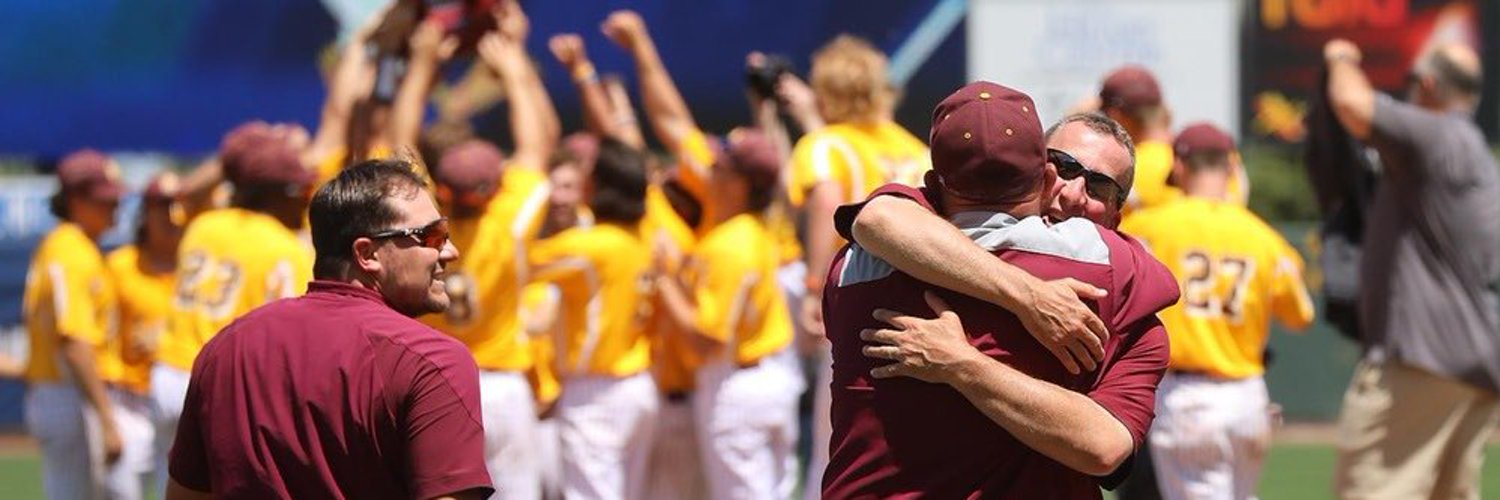 Salisbury Baseball Profile Banner