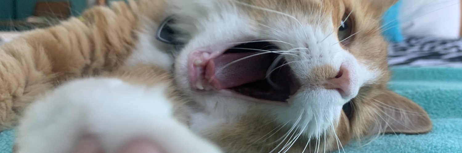 emlouisedav's profile banner image