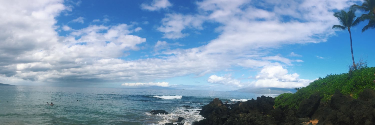 PhoebeMedeiros's profile banner image