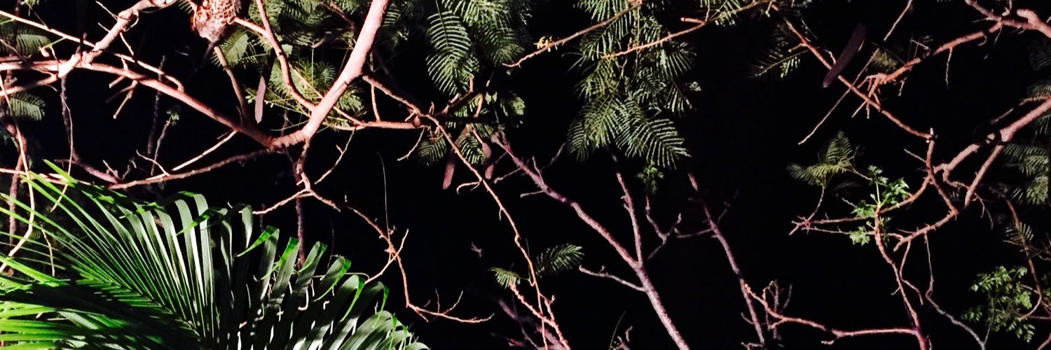 tabaricook's profile banner image