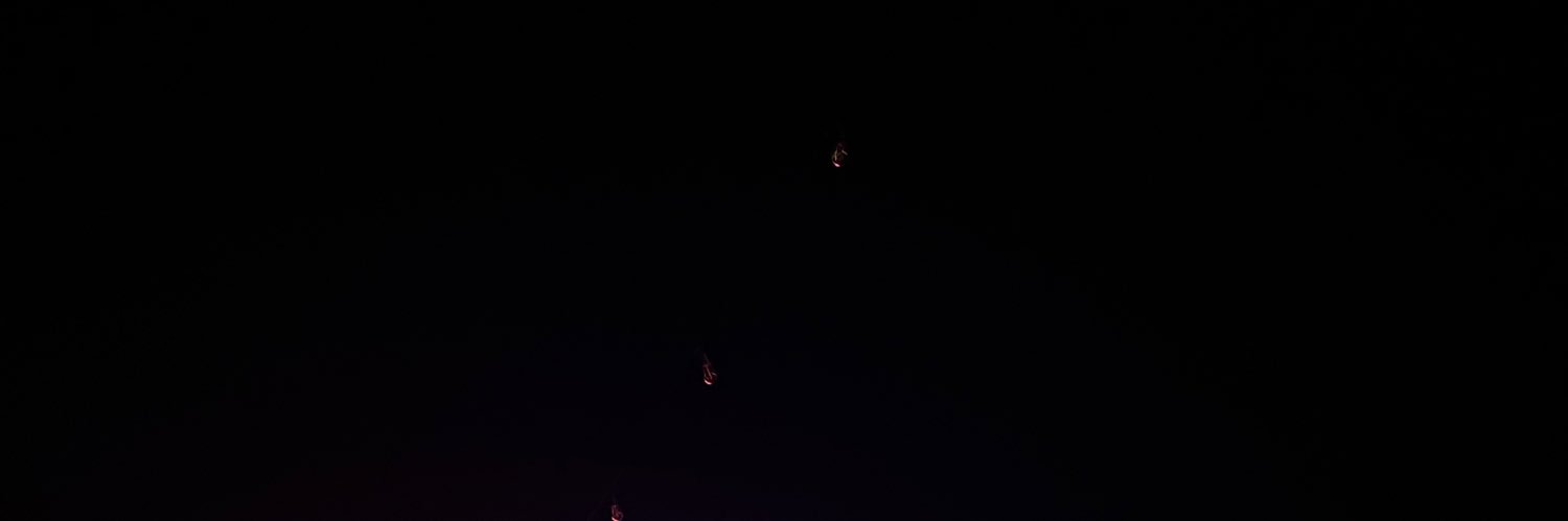 lulislz's profile banner image
